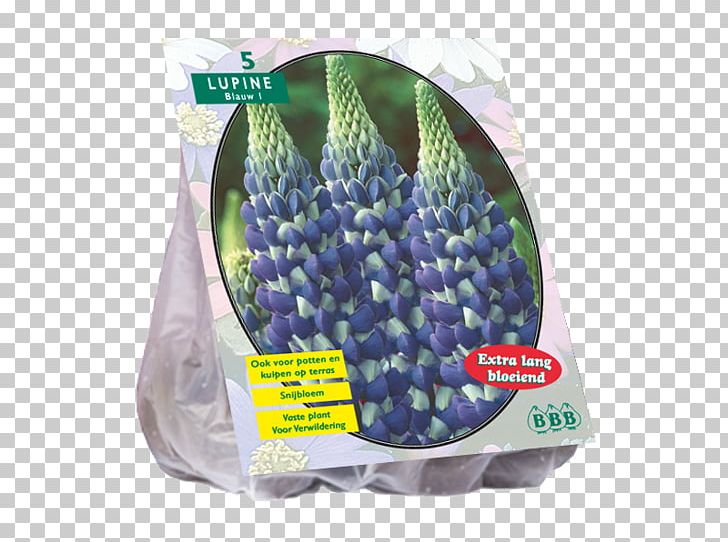Powell's Swamp Lily Tulip Bulb Hyacinth Embryophyta PNG, Clipart,  Free PNG Download