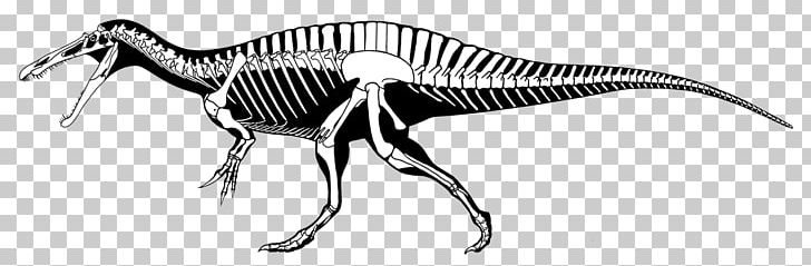 Spinosaurus Tyrannosaurus Suchomimus Ichthyovenator Baryonyx PNG, Clipart, Allosaurus, Baryonyx, Bipedalism, Black And White, Carnotaurus Free PNG Download