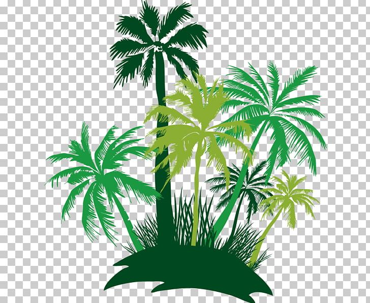 Asian Palmyra Palm Palm Trees Catch A Vibe Jetty Nomad PNG, Clipart, Arecales, Asian Palmyra Palm, Borassus, Borassus Flabellifer, Christian Smith Free PNG Download