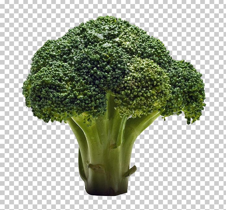 Broccoli Raw Foodism Fruit Salad Vegetable PNG, Clipart, Apple, Apple Fruit, Beetroot, Broccoli, Eating Free PNG Download