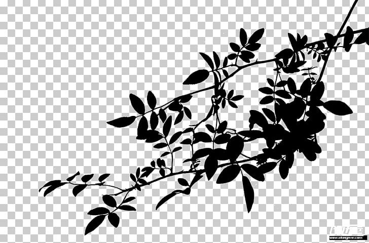 Plants Trivia Black And White Silhouette Chinese Language PNG, Clipart, Black And White, Branch, Chinese Language, Computer Wallpaper, Flora Free PNG Download