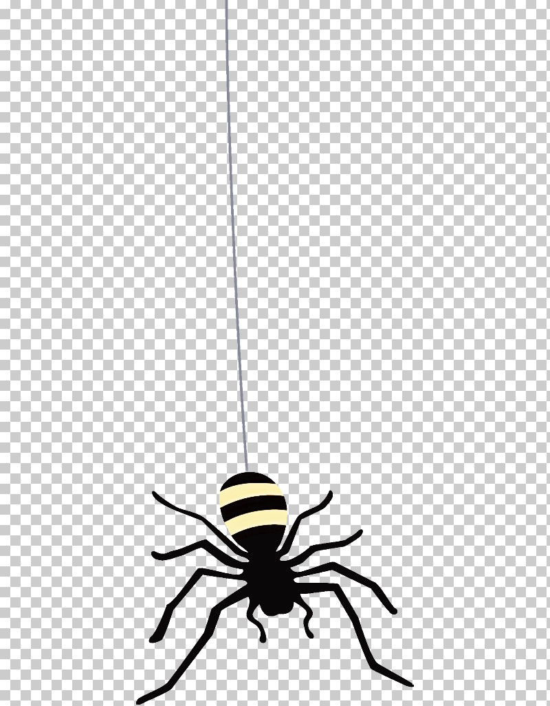 Spider Halloween PNG, Clipart, Halloween, Insect, Line, Spider Free PNG Download