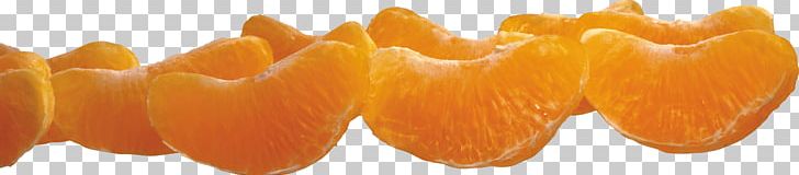 Mandarin Orange Citrus Reshni Digital PNG, Clipart, Citrus, Digital Image, Food, Fruits, Licence Cc0 Free PNG Download