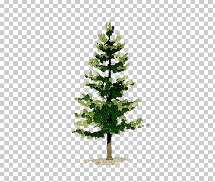 Pine Watercolor Painting Art Evergreen PNG, Clipart, Art, Branch, Christmas Decoration, Christmas Ornament, Christmas Tree Free PNG Download