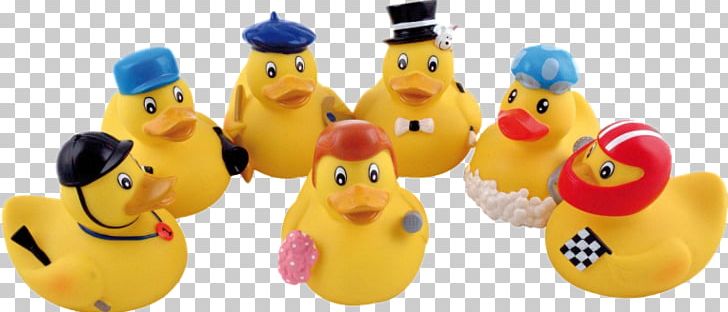 Toy Rubber Duck Child Infant Game PNG, Clipart, Artikel, Child, Game, Infant, Online Shopping Free PNG Download