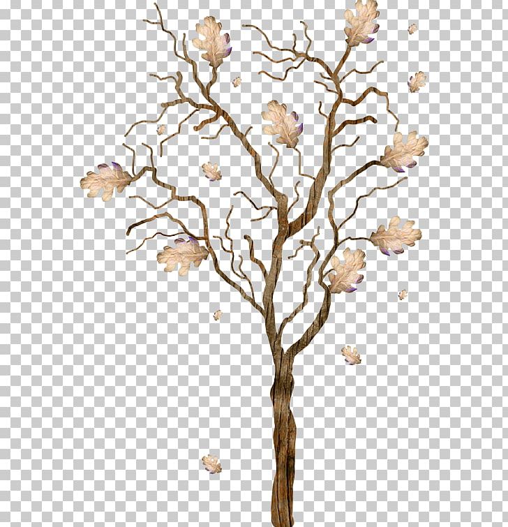 Tree Autumn PNG, Clipart, Agac Resimleri, Animaatio, Autumn, Autumn Leaf Color, Branch Free PNG Download