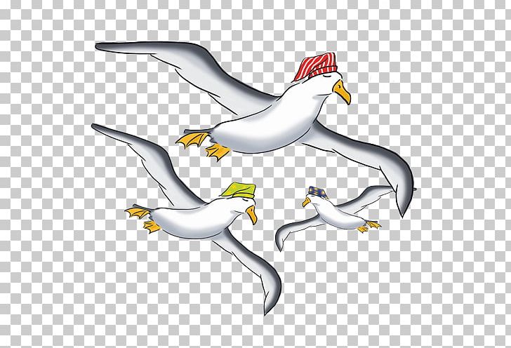 Duck Cygnini Goose Seabird Beak PNG, Clipart, Albatros Diii, Anatidae, Animal, Animal Figure, Animals Free PNG Download