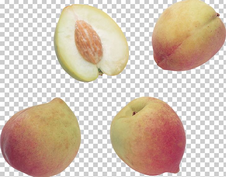 Peach PNG, Clipart, Peach Free PNG Download