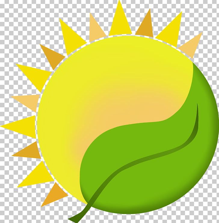 Philippine Government Electronic Procurement System (PhilGEPS) Procurement Service Leaf PNG, Clipart, Circle, February 11, First, Flower, Fruit Free PNG Download