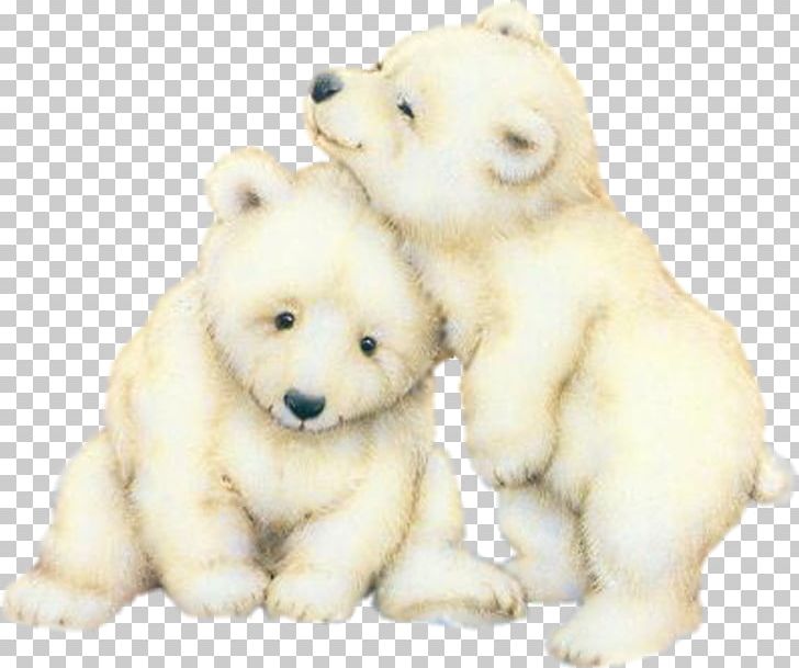 Polar Bear Cubs Giant Panda Brown Bear PNG, Clipart, Animals, Bear, Bears Of The World, Carnivoran, Cuteness Free PNG Download