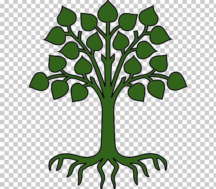 cartoon tree with branches and roots