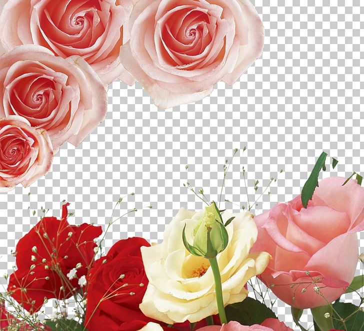 Garden Roses Centifolia Roses Beach Rose Floribunda Pink PNG, Clipart, Artificial Flower, Flower, Flower Arranging, Flowers, Free Stock Png Free PNG Download