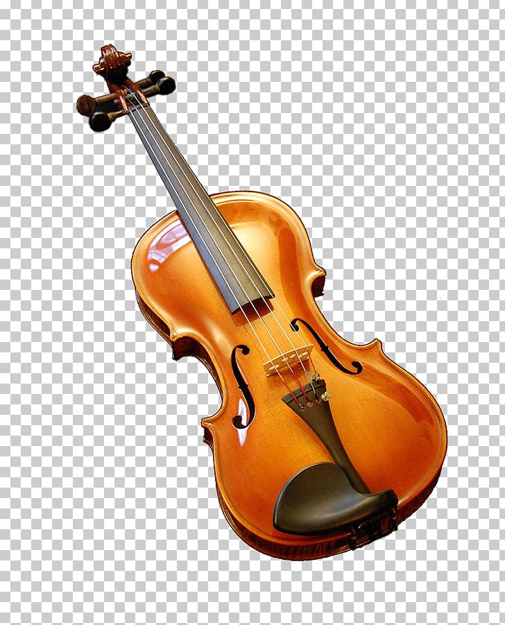 Bass Violin Violone Viola Fiddle PNG, Clipart, Bass Violin, Bowed String Instrument, Cello, Double Bass, Fiddle Free PNG Download