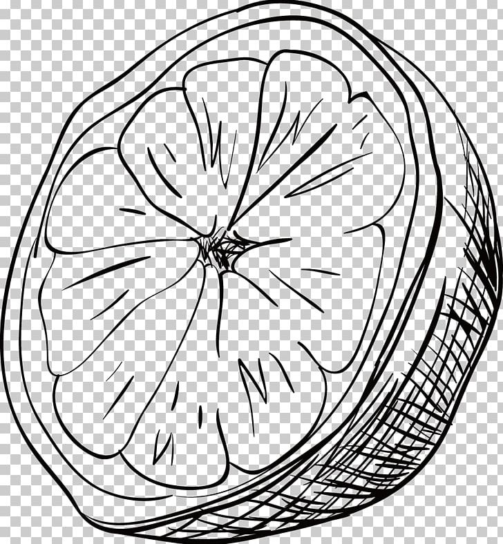 Black And White Drawing Painting PNG, Clipart, Artwork, Bicycle Wheel, Black And White Painting, Circle, Designer Free PNG Download
