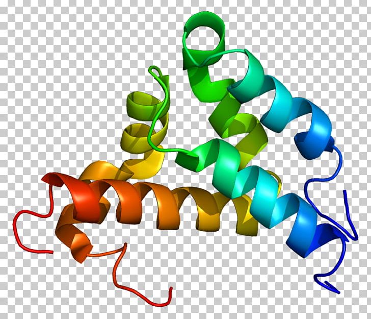 Nuclear Receptor Coactivator 3 Histone Steroid Hormone Receptor PNG, Clipart, Anabolic Steroid, Androgen Receptor, Artwork, Coactivator, Estrogen Receptor Free PNG Download