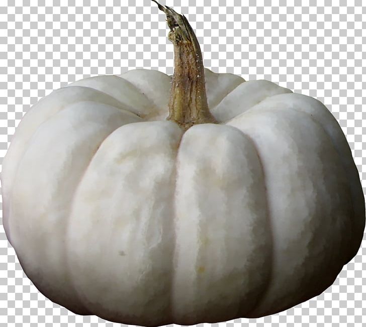 Pumpkin Calabaza Winter Squash Wax Gourd PNG, Clipart, Black White, Calabaza, Creative, Creative Pumpkin, Encapsulated Postscript Free PNG Download