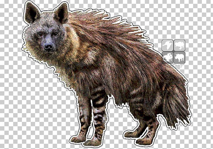 Striped Hyena Art Brown Hyena Drawing PNG, Clipart, Animals, Art, Brown Hyena, Carnivoran, Deviantart Free PNG Download