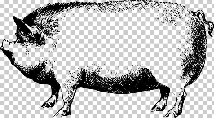 Wild Boar PNG, Clipart, Animal Figure, Black And White, Cattle Like Mammal, Clipart, Clip Art Free PNG Download