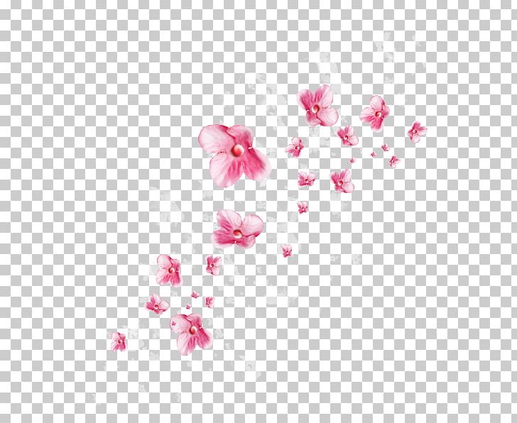 Google S PNG, Clipart, Albom, Blossom, Branch, Cherry Blossom, Download Free PNG Download