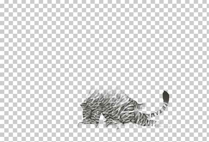 Whiskers Cat Drawing /m/02csf Tail PNG, Clipart, Animals, Big Cat, Big Cats, Black And White, Carnivoran Free PNG Download