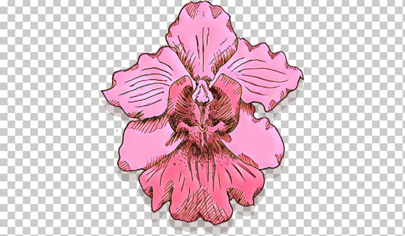 Pink Flower Plant Petal Hibiscus PNG, Clipart, Flower, Hibiscus, Iris, Mallow Family, Petal Free PNG Download
