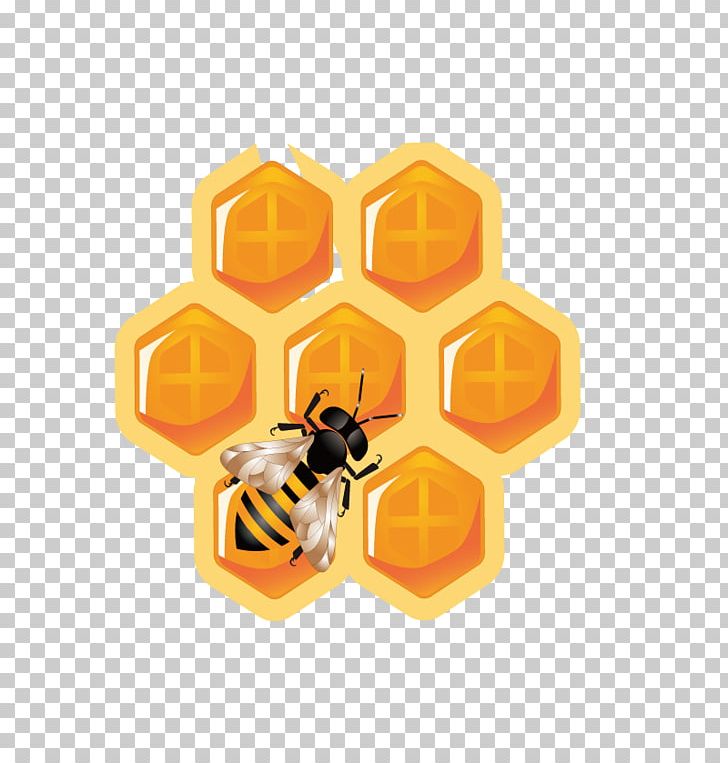 Honey Bee Honeycomb Icon PNG, Clipart, Bee, Bee Hive, Beehive, Bees, Bees Honey Free PNG Download