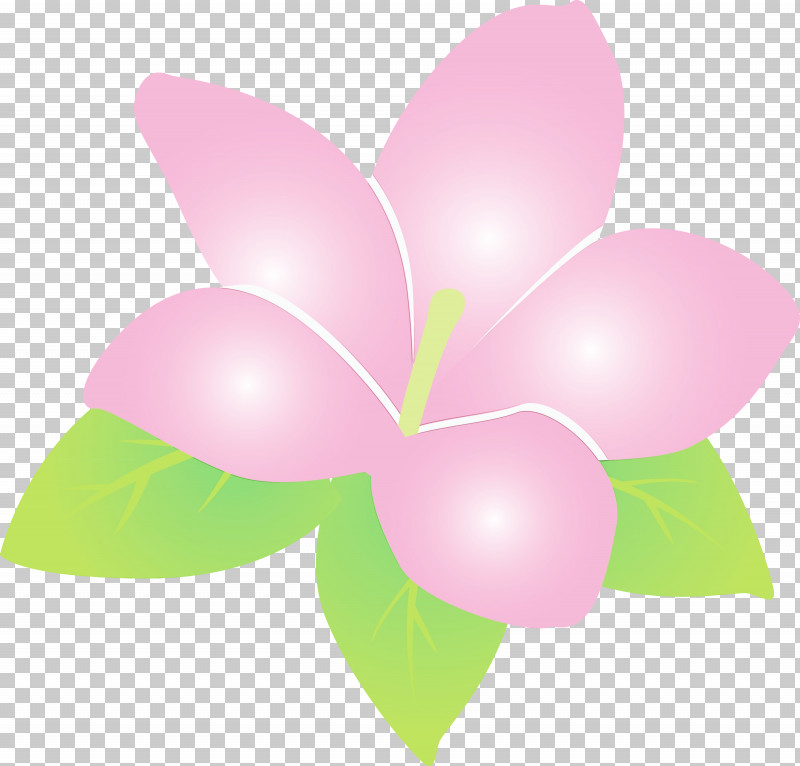 Flower Petal Pollinator Leaf Lilac PNG, Clipart, Biology, Flora, Flower, Green, Jasmine Free PNG Download