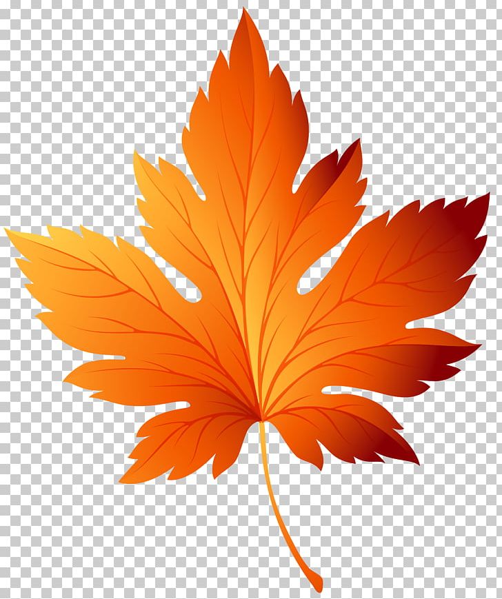 Autumn Leaf Color PNG, Clipart, Autumn, Autumn Leaf Color, Clipart, Clip Art, Computer Icons Free PNG Download