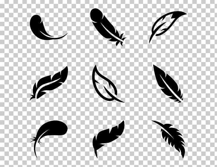 Bird Parrot Feather Computer Icons Wing PNG, Clipart, Animals, Beak, Bird, Black, Black And White Free PNG Download