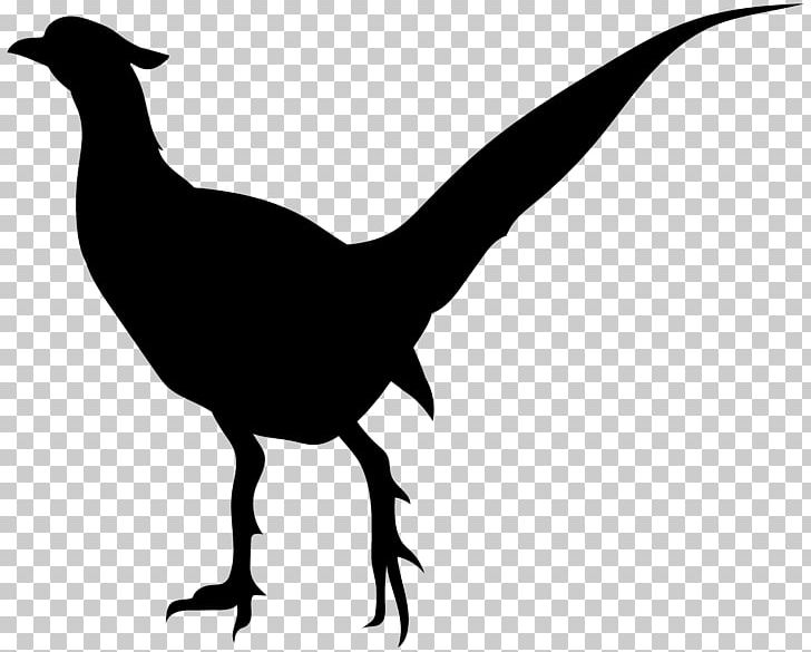 Bird Silhouette PNG, Clipart, Animals, Beak, Bird, Birds Silhouette, Black And White Free PNG Download
