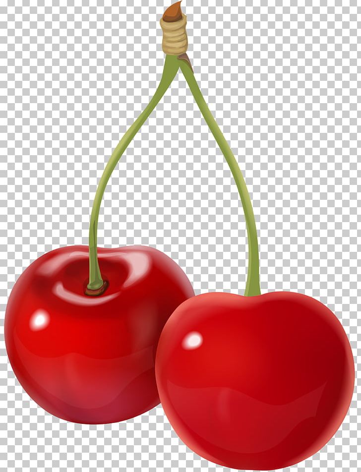 Cherry PNG, Clipart, Art Museum, Autumn, Autumn Leaves, Cherries, Cherry Free PNG Download