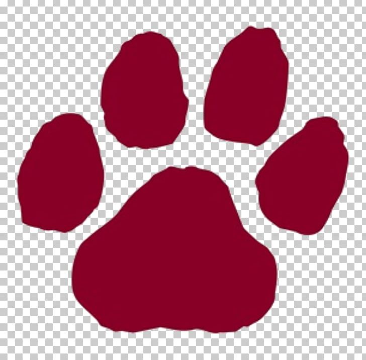 Paw Dog Cat Printing PNG, Clipart, Abziehtattoo, Animals, Animal Track, Cat, Dog Free PNG Download