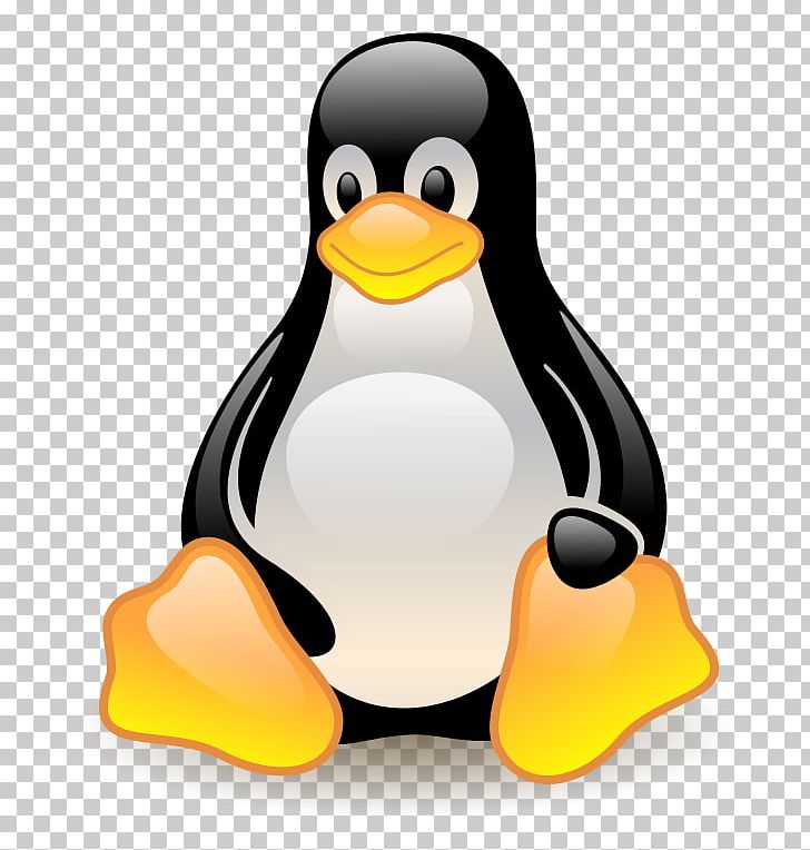 Penguin Linux Tux Computer Software PNG, Clipart, Beak, Bird, Clip Art, Computer, Computer Software Free PNG Download