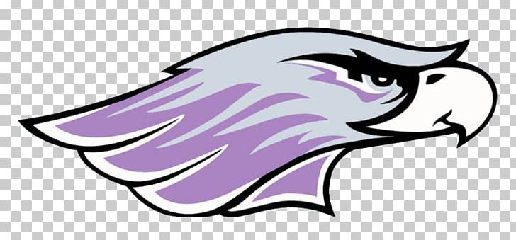 University Of Wisconsin–Whitewater Wisconsin–Whitewater Warhawks Football University Of Wisconsin-Madison Marquette University Wisconsin Intercollegiate Athletic Conference PNG, Clipart, Art, Artwork, Bird, Black, Carnivoran Free PNG Download