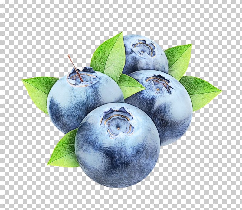 Fruit Tree PNG, Clipart, Berry, Bilberry, Blueberries, Blueberry Pie, Fruit Free PNG Download