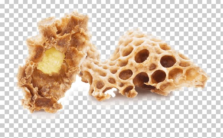 Beehive Royal Jelly Koningin Pollen PNG, Clipart, Apitherapy, Ari, Bee, Beehive, Food Free PNG Download