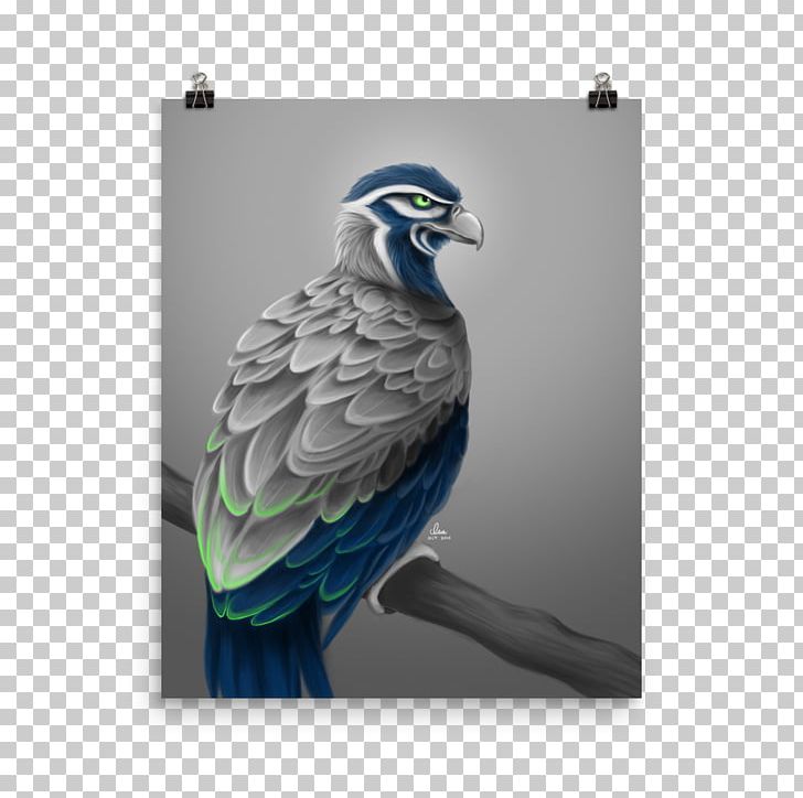 Seattle Seahawks Macaw Bird Of Prey Art PNG, Clipart, Art, Beak, Bird, Bird Of Prey, Cat Free PNG Download