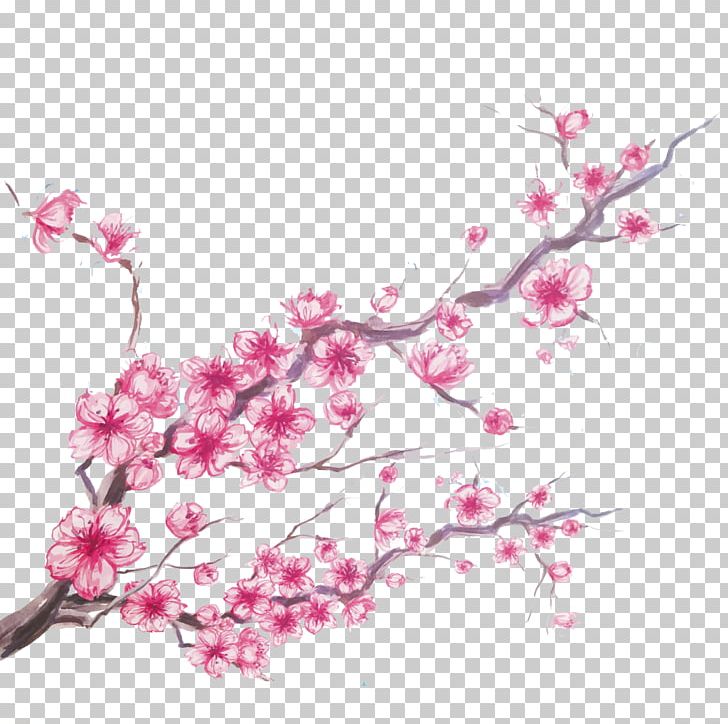 Cherry Blossom PNG, Clipart, Balloon Cartoon, Blossom, Branch, Cartoon Character, Cartoon Eyes Free PNG Download