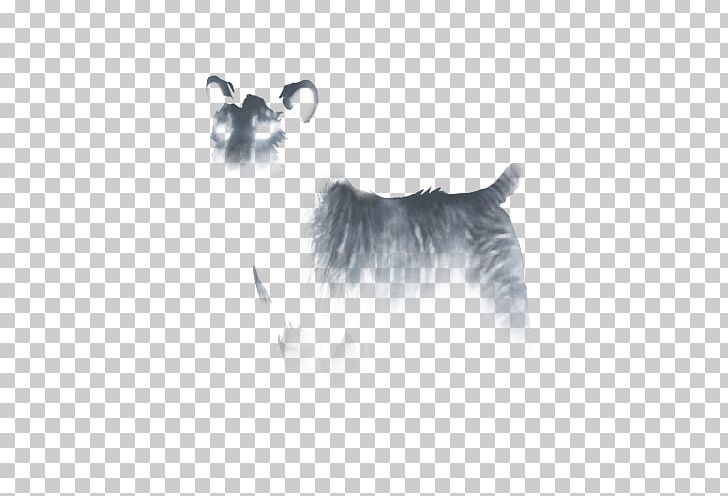 Dog Breed White House Whiskers Graphics Logo PNG, Clipart, Black, Black And White, Carnivoran, Company, Computer Wallpaper Free PNG Download