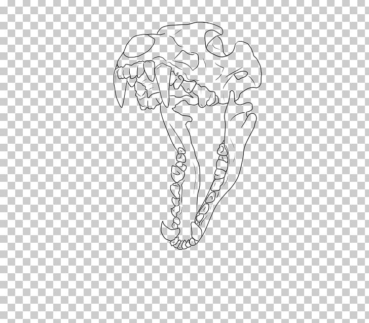 Drawing Skull Line Art Dog Anatomy PNG, Clipart, Anatomy, Angle, Animal, Area, Arm Free PNG Download
