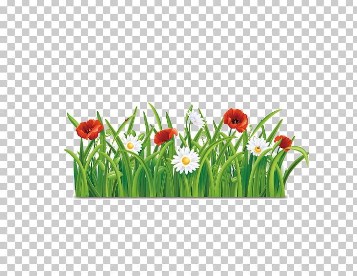 Flower PNG, Clipart, Chrysanthemum Vector, Floral Design, Floristry, Flower Arranging, Flowering Plant Free PNG Download