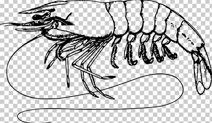 Shrimp And Prawn As Food PNG, Clipart, Animals, Art Black And White, Artwork, Black And White, Carnivoran Free PNG Download