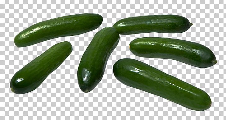 Spreewald Gherkins Slicing Cucumber Vegetable Fruit PNG, Clipart, Cucumber, Cucumber Gourd And Melon Family, Cucumis, Food, Fruit Free PNG Download