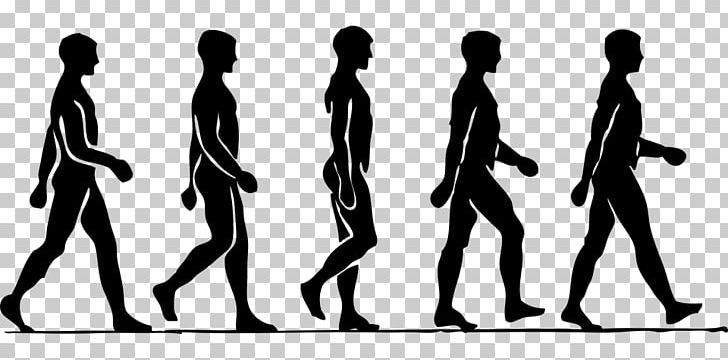 Walking PNG, Clipart, Arm, Black And White, Computer Icons, Download, Drawing Free PNG Download