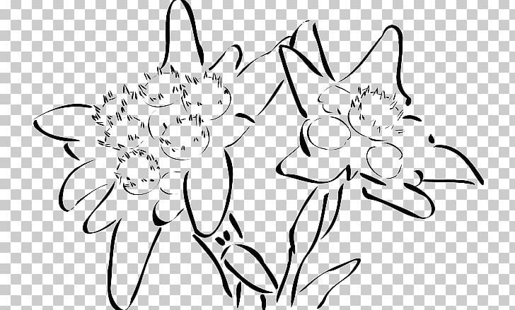 Drawing Edelweiss PNG, Clipart, Area, Art, Artwork, Black, Branch Free PNG Download