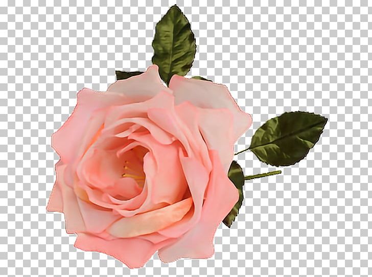 Flower Garden Roses Wreath Boutonnière PNG, Clipart, Ansichtkaart, Artificial Flower, Birthday, Cut Flowers, Floral Design Free PNG Download