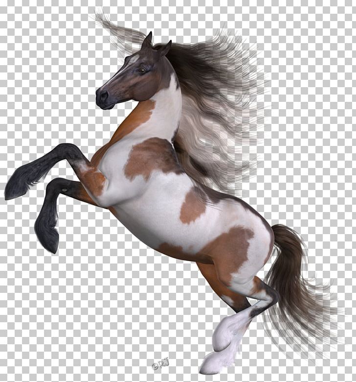 Mustang Pony Stallion Halter FKK Saunaclub PNG, Clipart, Ali Baba, Animal Figure, Bit, Bridle, Caverne Free PNG Download
