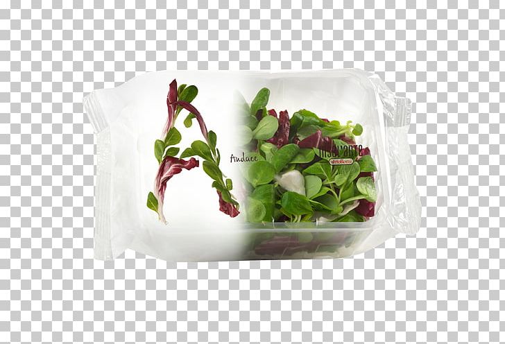 Plastic Bag Salad Packaging And Labeling Food Vegetable PNG, Clipart, Bag, Corn Salad, Endive, Flowerpot, Food Free PNG Download