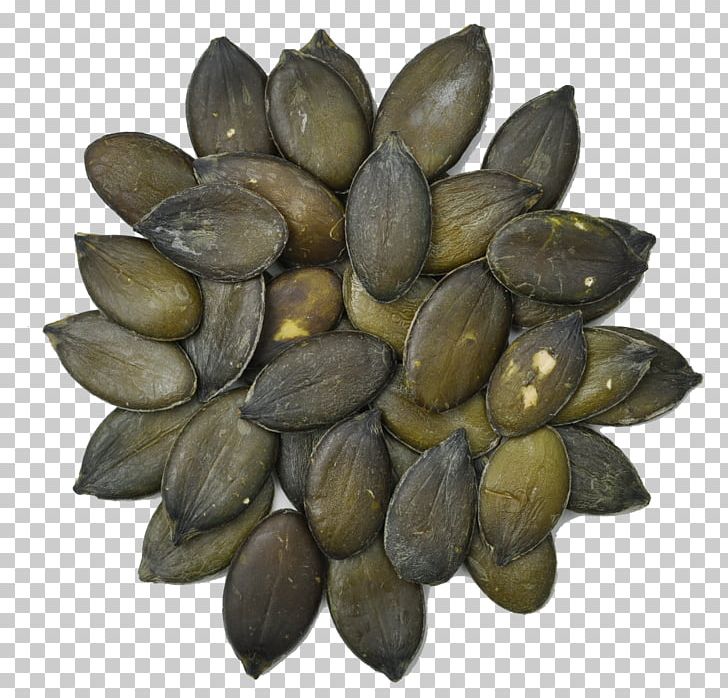 Vegetarian Cuisine Mussel Clam Seed Food PNG, Clipart, Animal Source Foods, Australian, Clam, Clams Oysters Mussels And Scallops, Commodity Free PNG Download