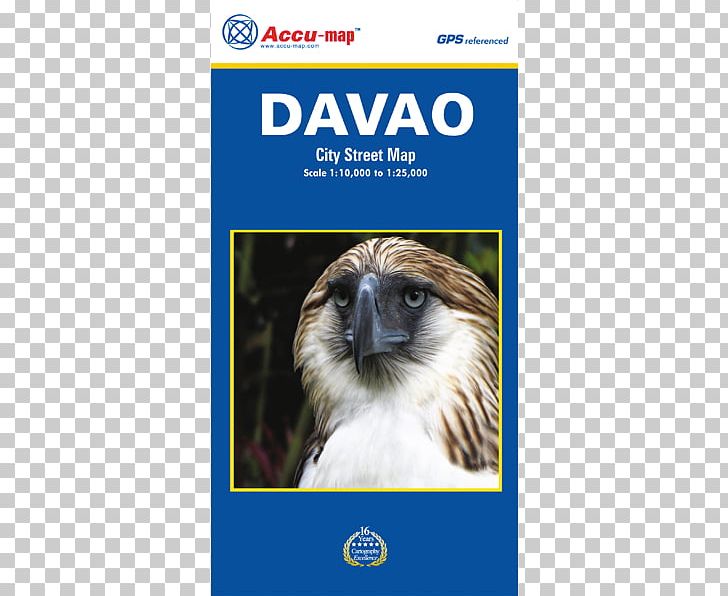 Baguio Samal PNG, Clipart, Advertising, Baguio, Beak, Business, Davao Free PNG Download